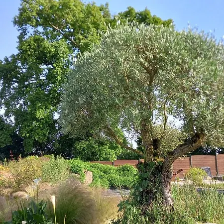 Chez Gwen Et Flo Avec Jardin 아파트