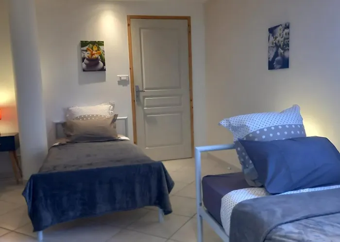 公寓 Chez Gwen Et Flo Avec Jardin 绍莱