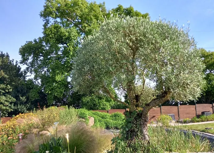 Chez Gwen Et Flo Avec Jardin Apartman